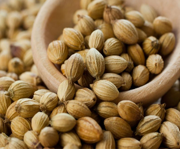 Coriander Seeds