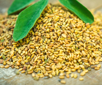 Fenugreek Seeds